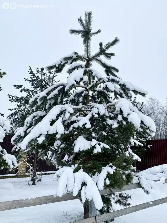 Участок в деревня Лупполово, Луговой переулок (10 м) - Фото 0