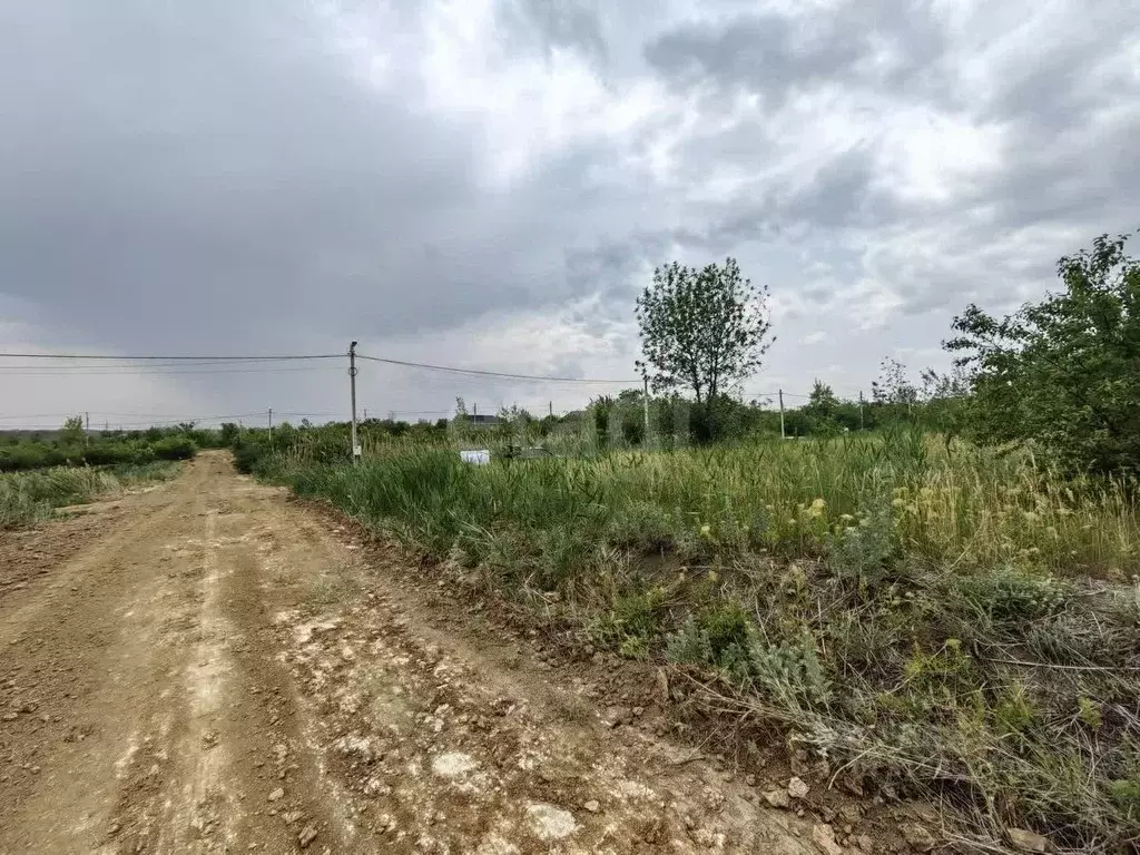 Участок в Ростовская область, Родионово-Несветайский район, ... - Фото 1