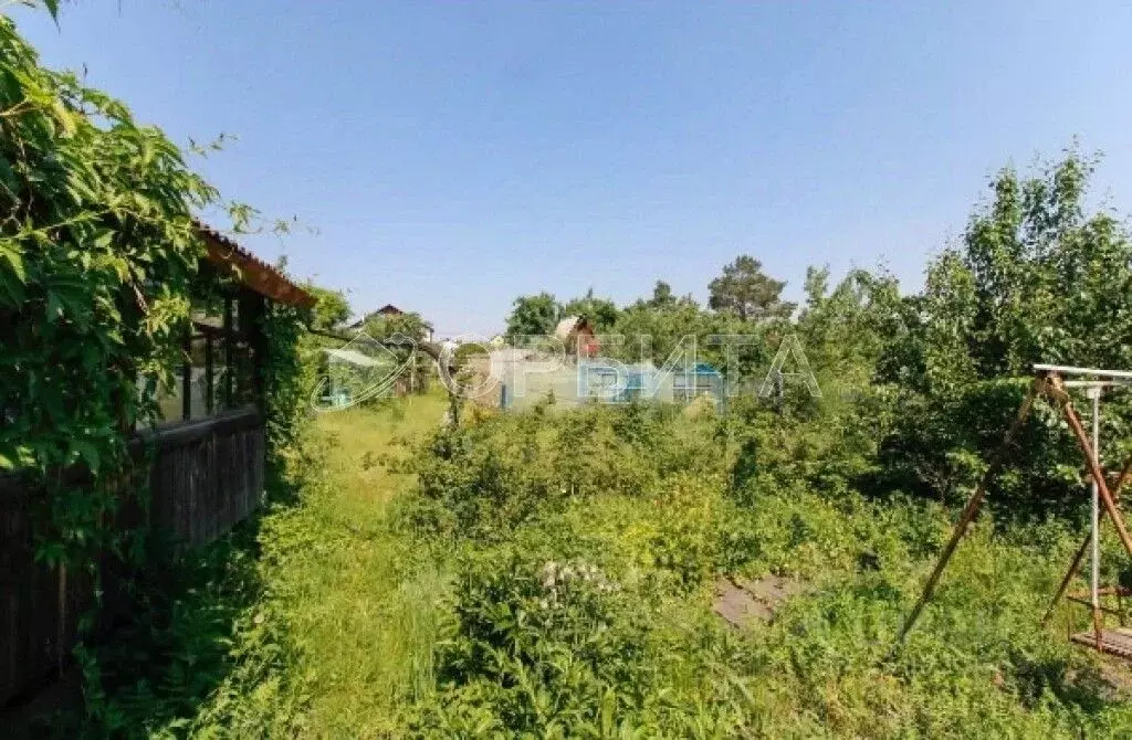 Участок в Тюменская область, Тюмень СОСН Мичуринец тер., 40 (6.0 сот.) - Фото 0