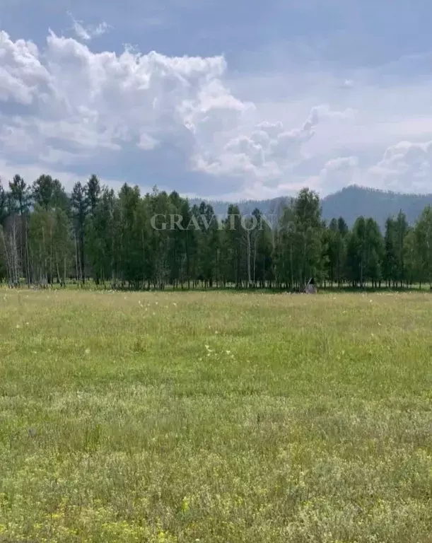 Участок в Алтай, Усть-Коксинский район, пос. Гагарка ул. Луговая ... - Фото 2