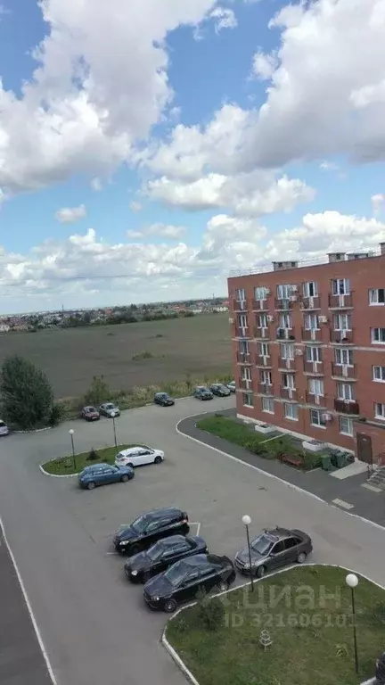 1-к кв. Самарская область, Тольятти Калмыцкая ул., 31 (31.7 м) - Фото 1