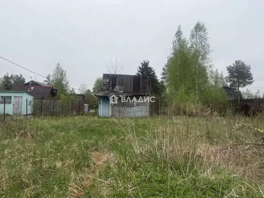 Участок в Ленинградская область, Гатчинский муниципальный округ, ... - Фото 2
