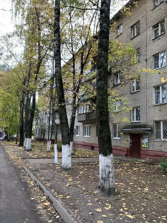 1-комнатная квартира: Фрязино, Полевая улица, 1 (30.3 м) - Фото 1