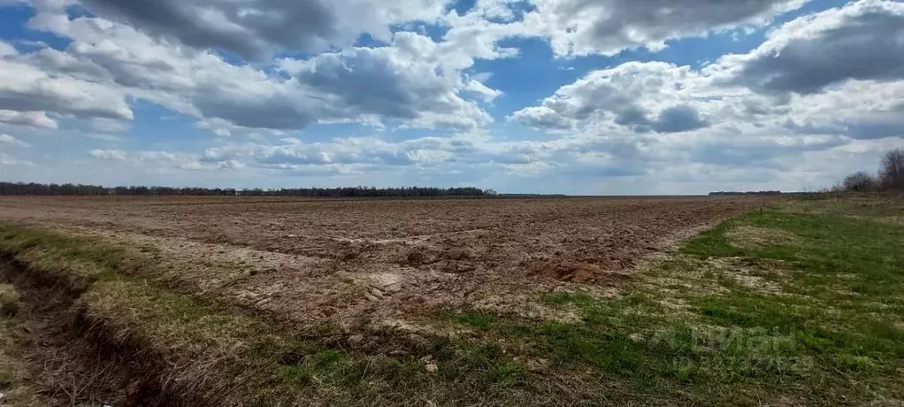 Участок в Московская область, Ступино городской округ, д. Щапово  ... - Фото 1
