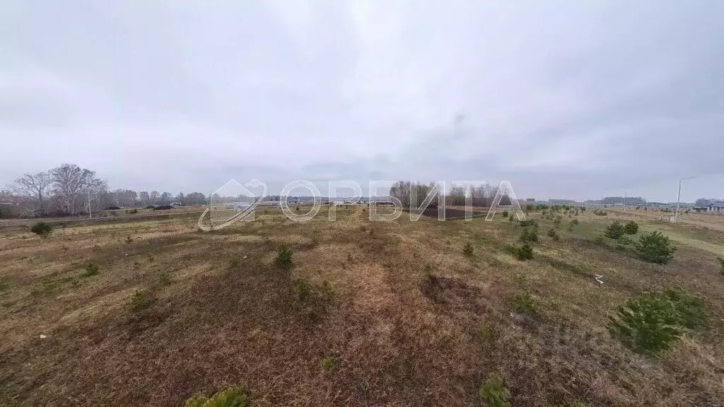 Участок в Тюменская область, Тюменский район, Новокаменский кп ул. ... - Фото 0