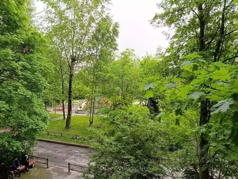 1-к кв. Санкт-Петербург ул. Кораблестроителей, 19К1 (33.0 м) - Фото 2