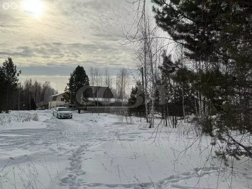 Участок в Тюменская область, село Нижняя Тавда (10 м) - Фото 1