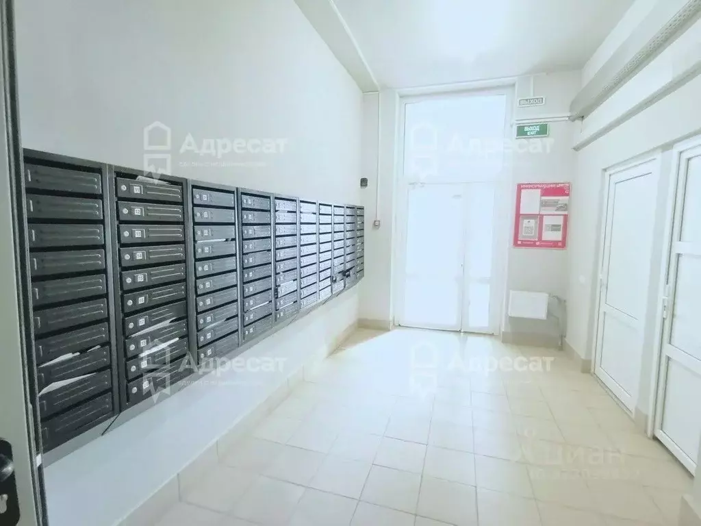 2-к кв. Волгоградская область, Волгоград ул. Гаря Хохолова, 4 (36.0 м) - Фото 1