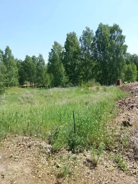 Участок в Челябинская область, Сосновский муниципальный округ, пос. ... - Фото 2