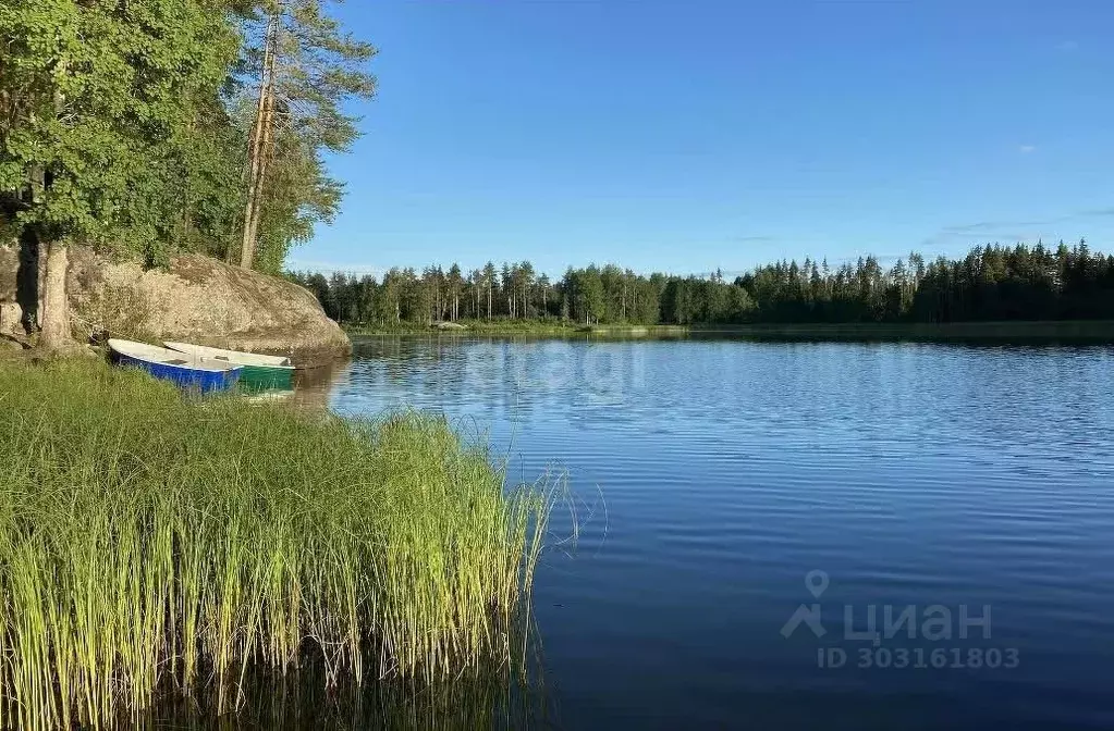 Участок в Ленинградская область, Всеволожский район, Лесколовское ... - Фото 0