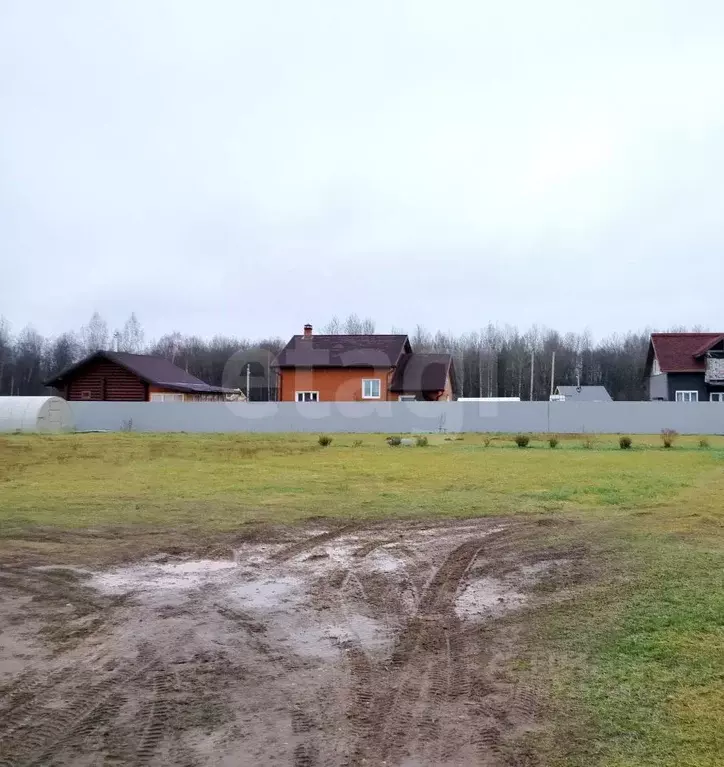 Участок в Ярославская область, Ярославский муниципальный округ, ... - Фото 1