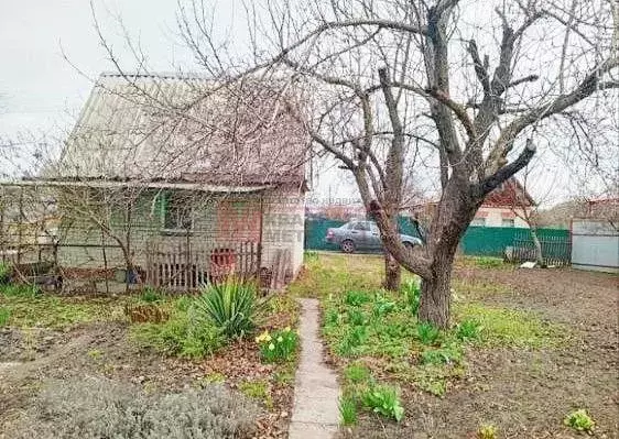 Дом в Белгородская область, Старый Оскол Водник СНТ, ул. Зеленая (30 ... - Фото 1