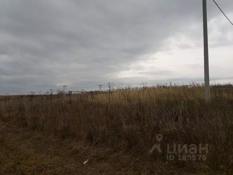 Участок в Калужская область, Боровский район, д. Комлево  (12.0 сот.) - Фото 0