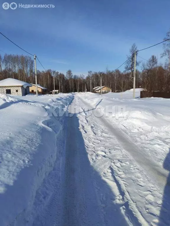 Участок в Новосибирск, улица Ивана Салащенко (8.12 м) - Фото 1