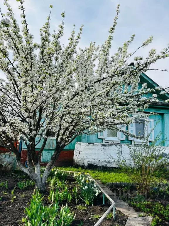 Дом в Башкортостан, Уфа Камышлинская ул. (62 м) - Фото 1