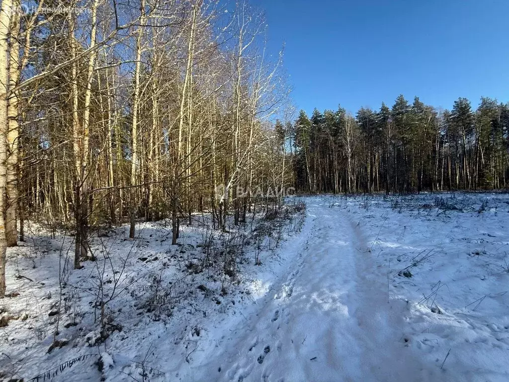 Участок в Владимирская область, Судогодский муниципальный округ, ... - Фото 1