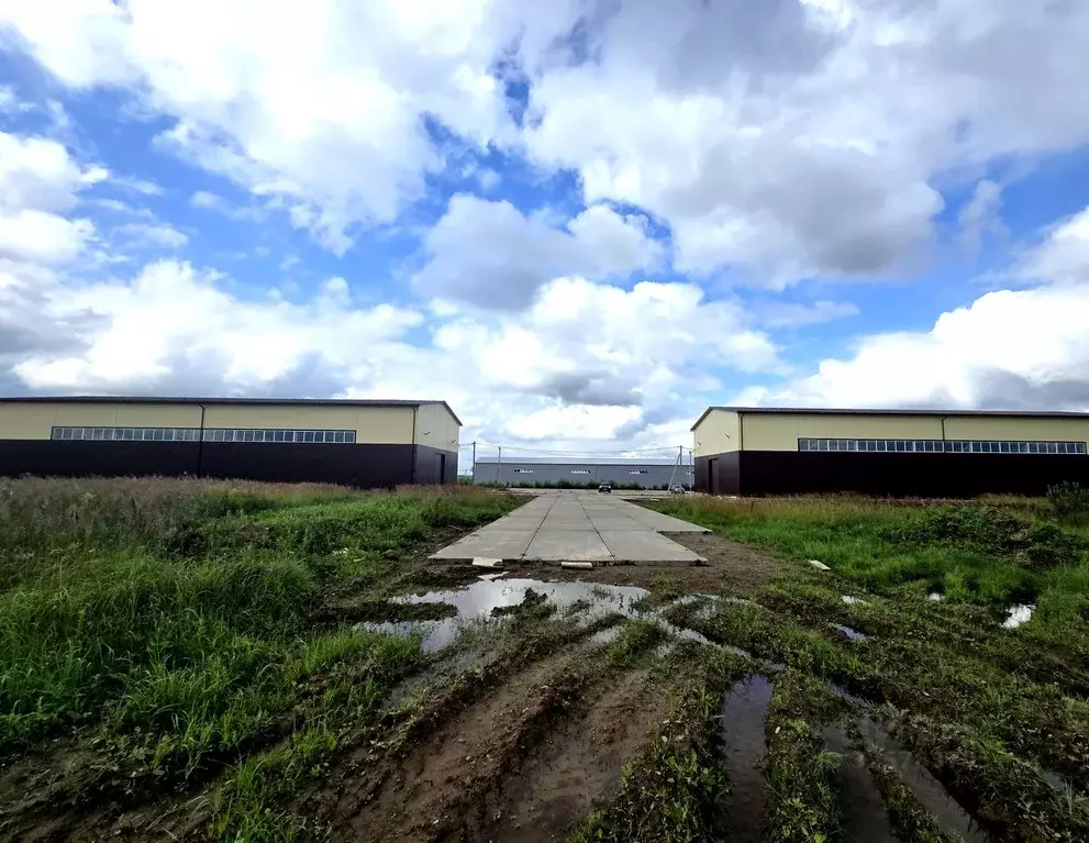 Склад в Московская область, Дмитровский муниципальный округ, с. ... - Фото 2