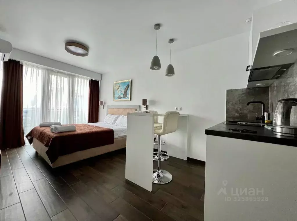 Студия Краснодарский край, Сочи Центральный мкр, ул. Войкова, 35 (28.0 ... - Фото 2