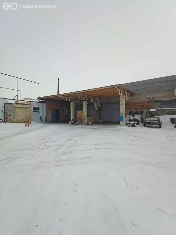 Помещение свободного назначения (561.5 м) - Фото 2