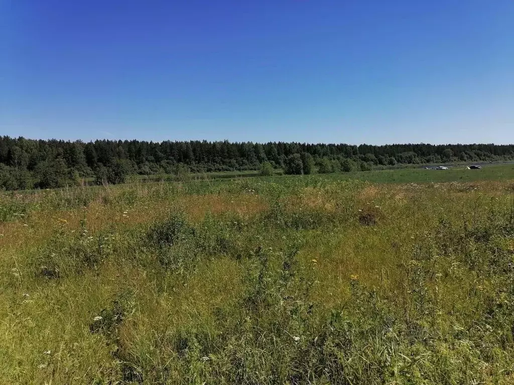 Участок в Вологодская область, Усть-Кубинский муниципальный округ, д. ... - Фото 1