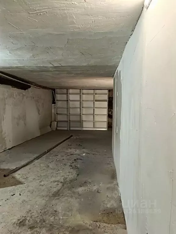 Помещение свободного назначения в Курганская область, Курган ул. Коли ... - Фото 1