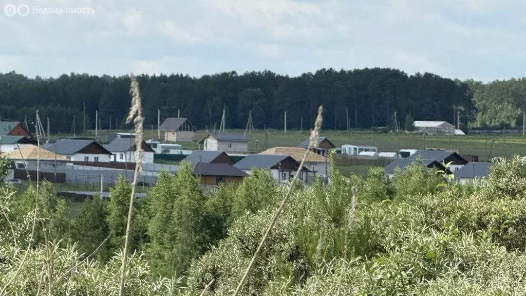 Дом в Свердловская область, Белоярский муниципальный округ, село ... - Фото 0
