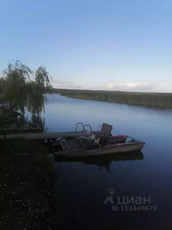 Участок в Ростовская область, Неклиновский район, с. Николаевка ... - Фото 0