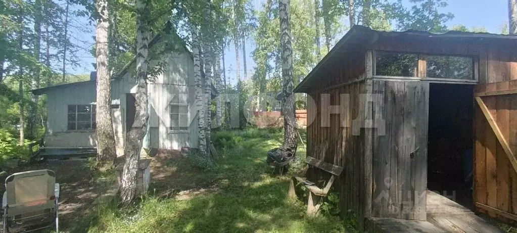 Дом в Новосибирская область, Новосибирск Конструктор СНТ,  (20 м) - Фото 1