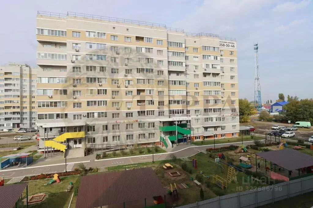 Студия Воронежская область, с. Новая Усмань ул. Раздольная, 1 (26.5 м) - Фото 2