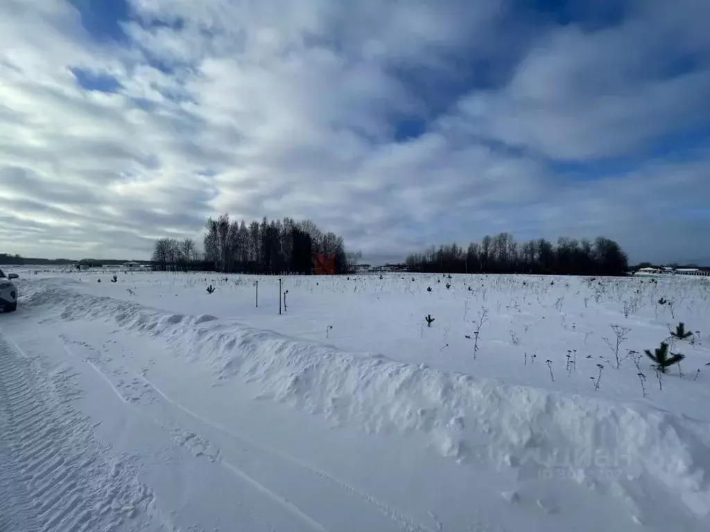 Участок в Тюменская область, Тюменский район, Новокаменский кп ул. ... - Фото 1