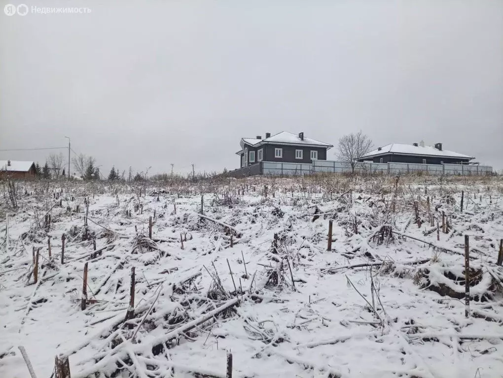 Участок в Москва, ТАО, район Вороново, деревня Давыдово (8 м) - Фото 2