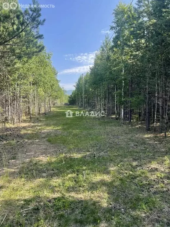 Участок в Кабанский район, село Заречье, Садовая улица, 21 (12 м) - Фото 1