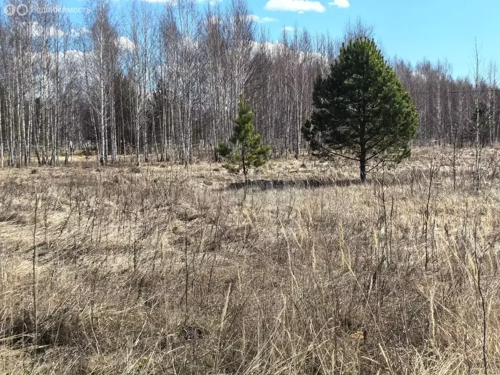 Участок в Тюменская область, Нижнетавдинский муниципальный округ, ... - Фото 1