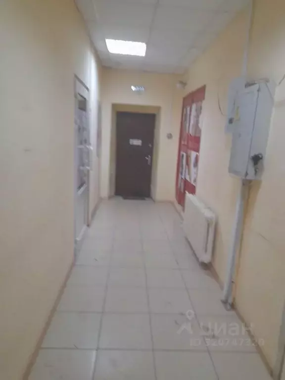 Помещение свободного назначения в Брянская область, Брянск ул. ... - Фото 1