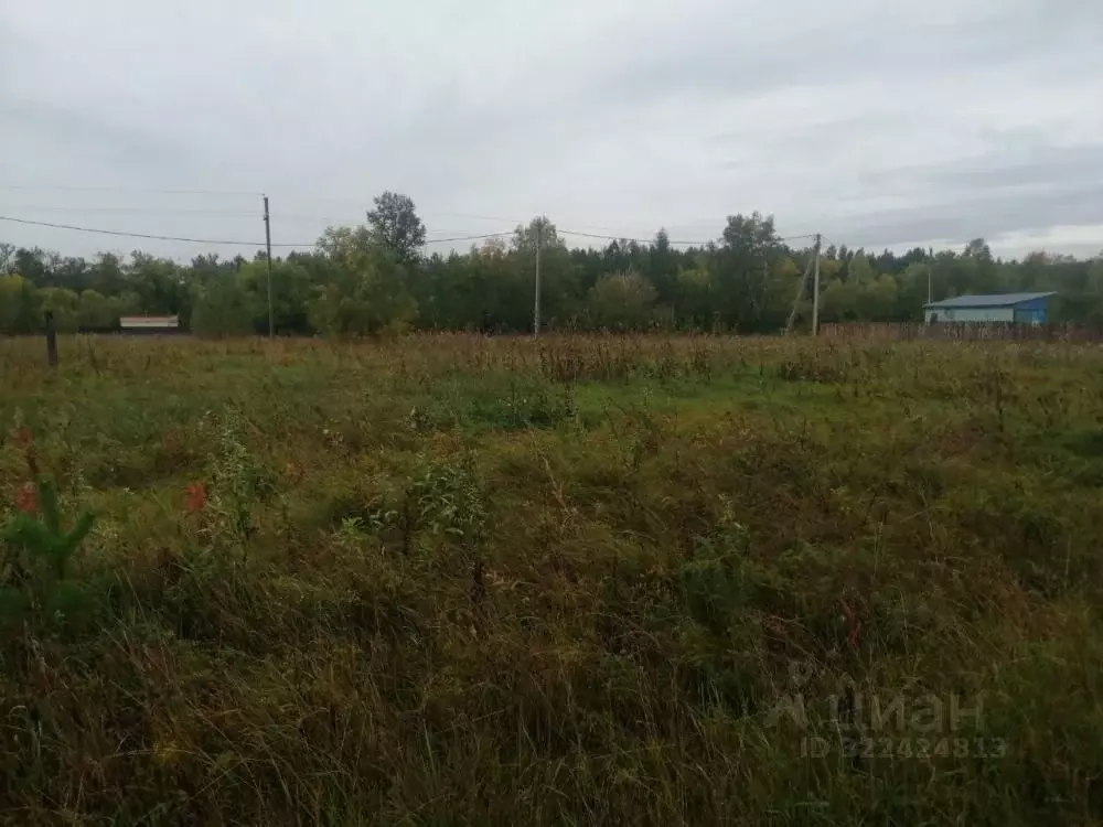 Участок в Иркутская область, Шелеховский район, Баклашинское ... - Фото 2