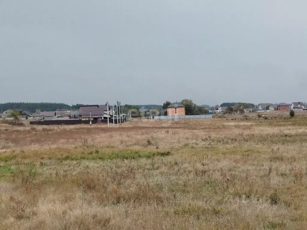 Участок в Курская область, Курский район, Моковский сельсовет, д. 2-я ... - Фото 2