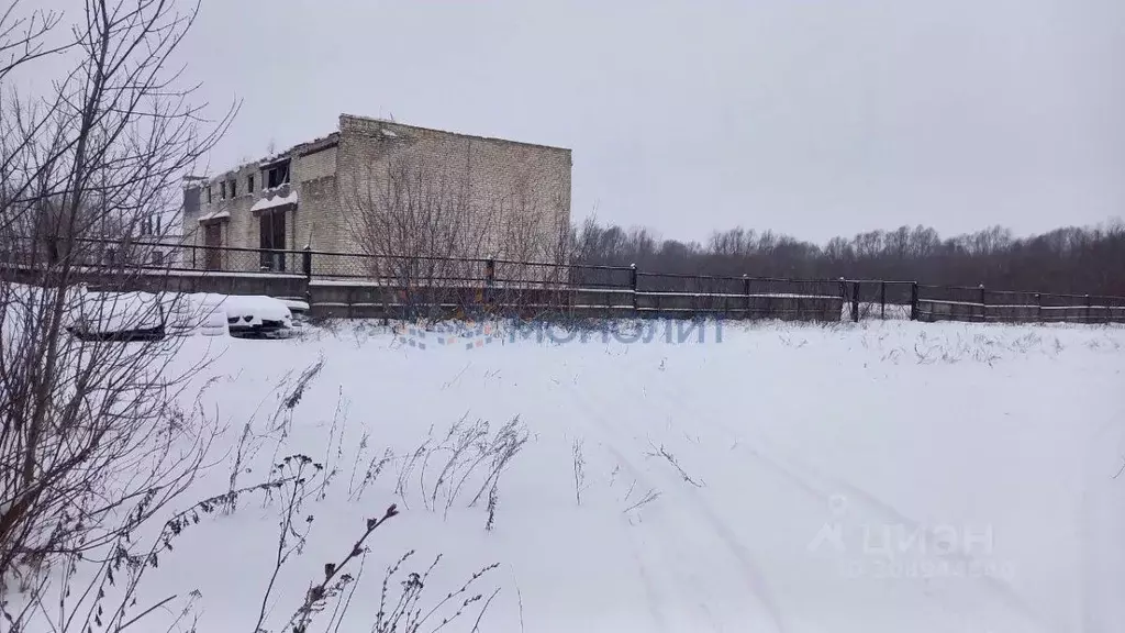 Склад в Нижегородская область, Лысково ул. Нижняя Набережная (333 м) - Фото 1