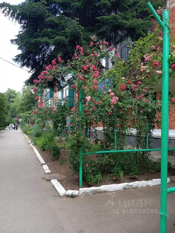 3-к кв. Адыгея, Майкоп ул. Димитрова, 11/2 (49.1 м) - Фото 1