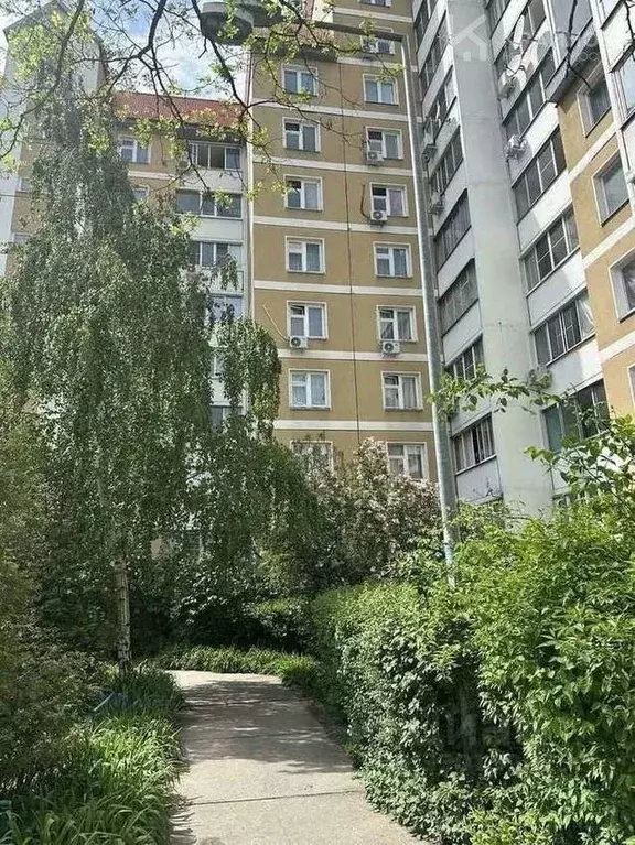 1-к кв. Воронежская область, Воронеж Московский просп., 137 (41.5 м) - Фото 1