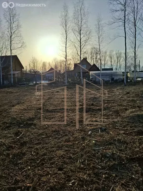 Участок в Тюмень, садовое товарищество Лаванда, 19-я улица (8 м) - Фото 0