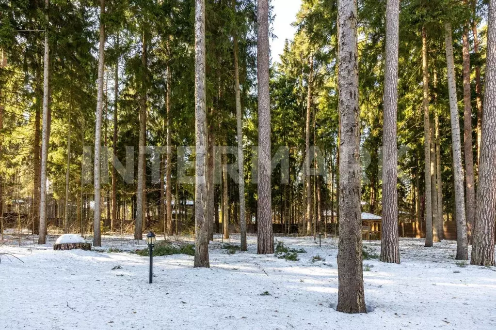 Участок в Московская область, Одинцовский городской округ, пос. ... - Фото 2