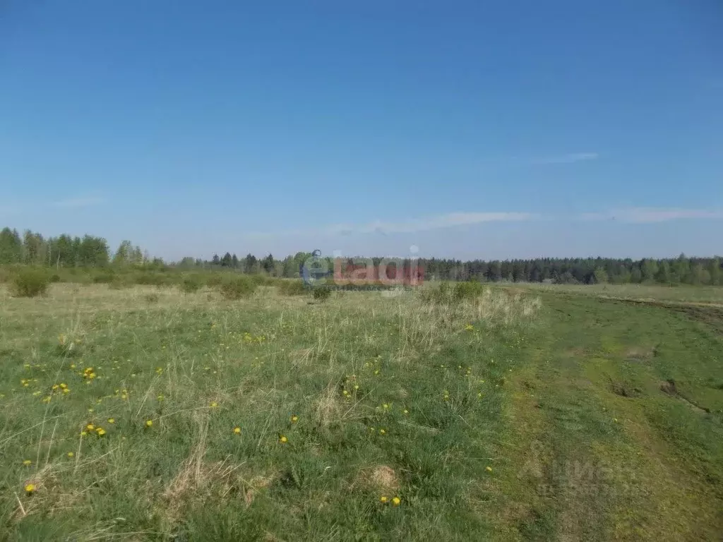 Участок в Татарстан, Тукаевский район, д. Малая Шильна  (6.49 сот.) - Фото 0