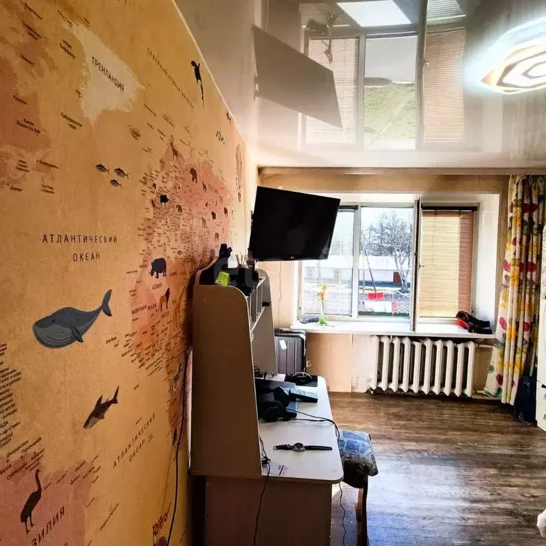 3-к кв. Камчатский край, Елизово ул. Завойко, 63 (57.8 м) - Фото 1