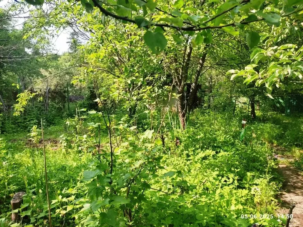 Участок в Нижний Новгород, Юная улица (4.6 м) - Фото 1