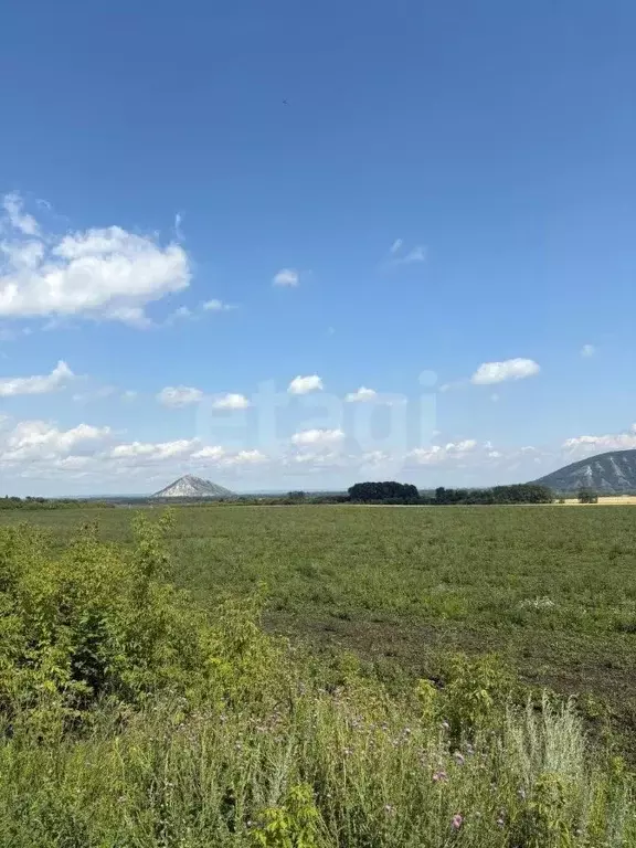 Участок в Башкортостан, Стерлитамакский район, Красноярский сельсовет, ... - Фото 1