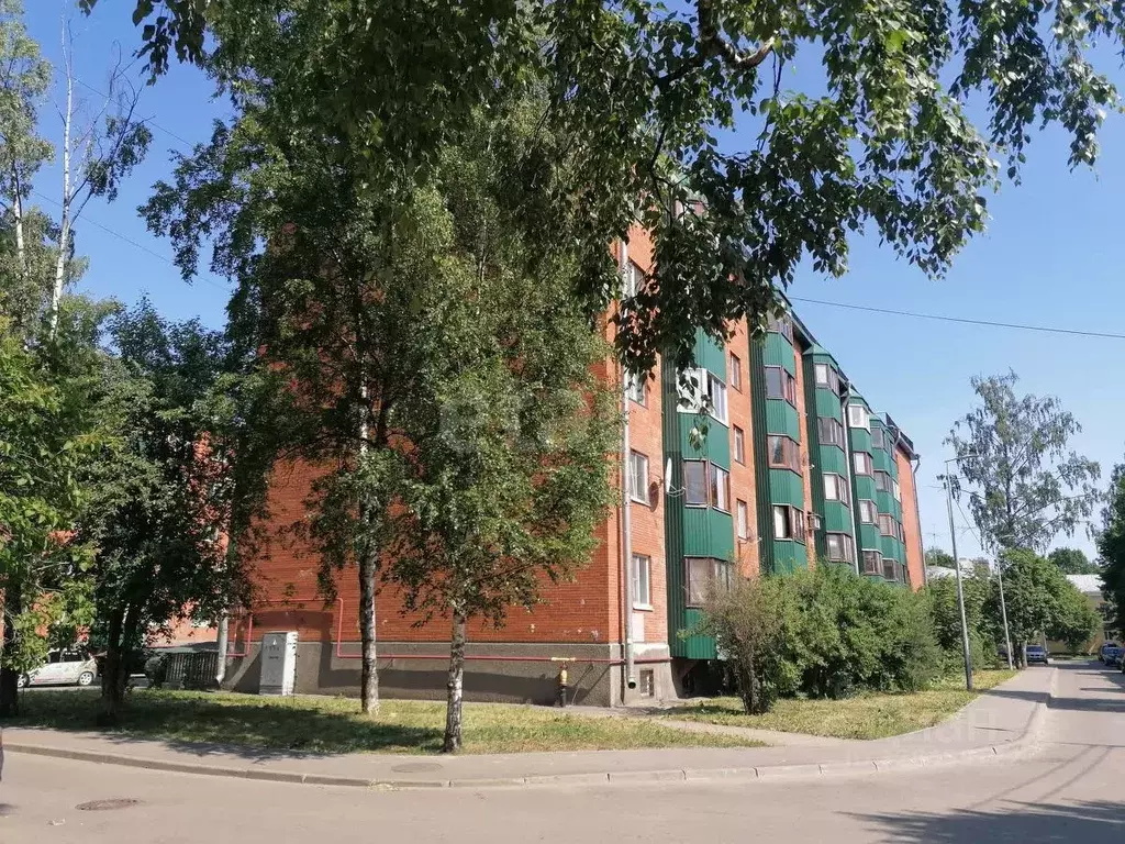 3-к кв. Санкт-Петербург пос. Металлострой, Школьная ул., 14 (91.4 м) - Фото 2