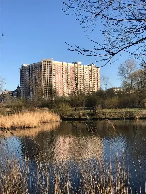 1-к кв. Санкт-Петербург просп. Маршала Жукова, 54к1 (40.0 м) - Фото 0