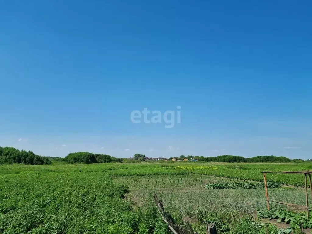 Участок в Ульяновская область, Ульяновск городской округ, с. ... - Фото 1