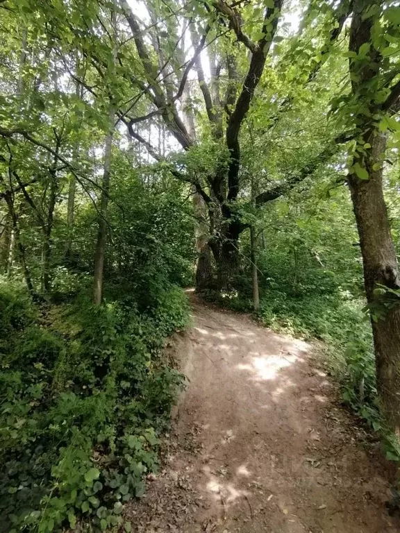 Участок в Москва Подолье СНТСН, ул. Абрикосовая (12.0 сот.) - Фото 2