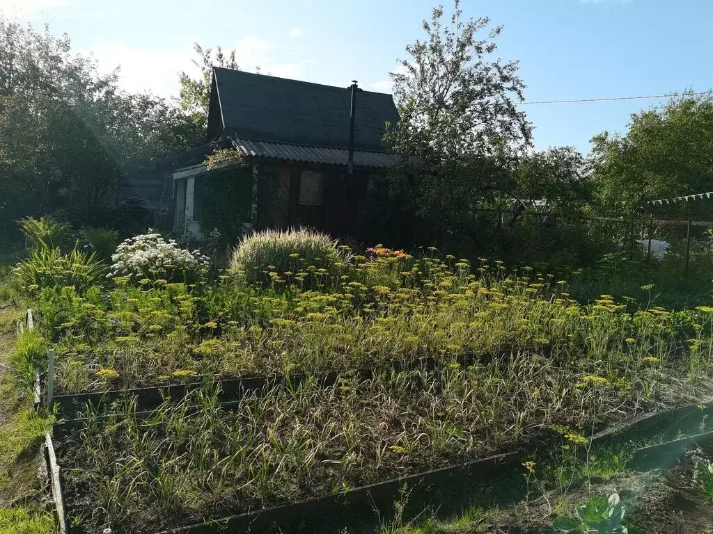Дом в Киров, СДТ Ветеран-Луганская, 13 (20 м) - Фото 1